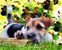 Terrier jardin